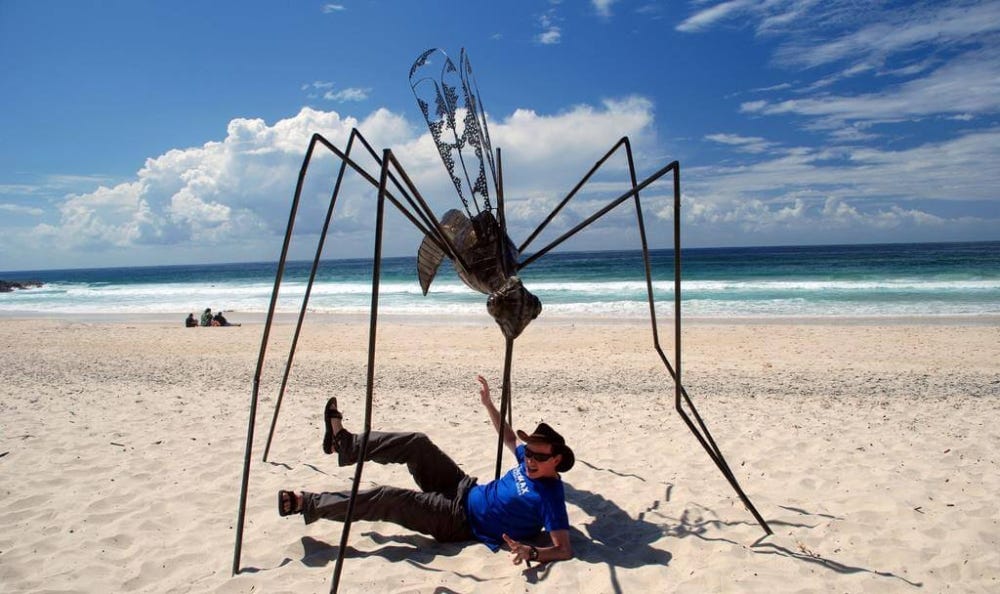 How to keep your bugs away from your tent