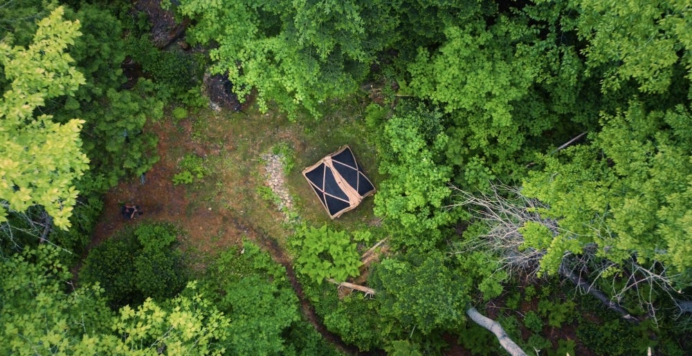 TREES ARE (TENT) KILLERS