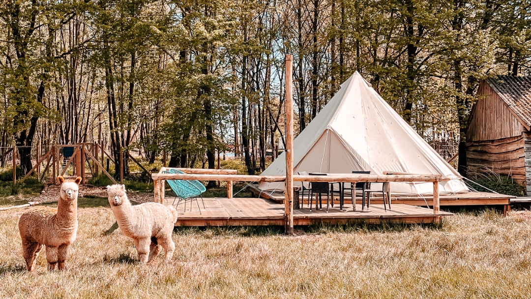 How to Start a Glamping Business 5