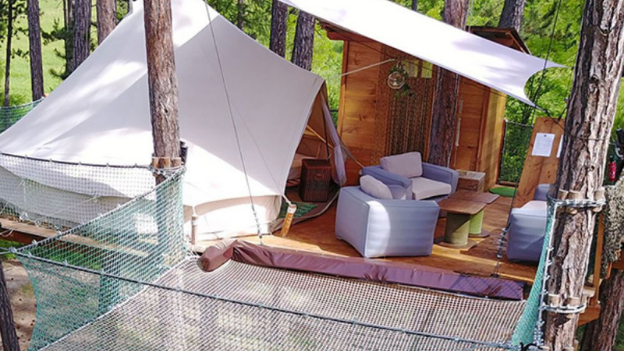 Tent Platform Treehouse