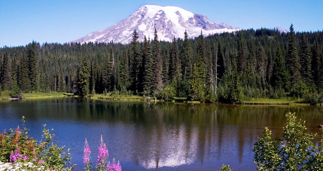 mt-ranier-national-park-camping