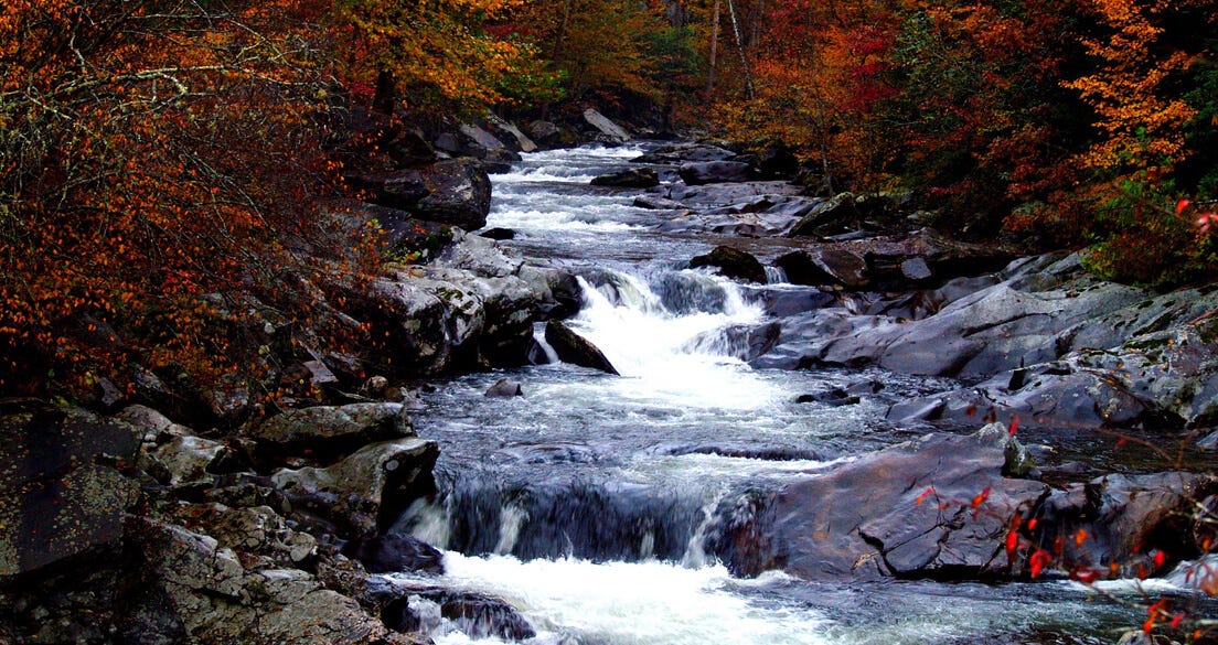 purifying water while camping